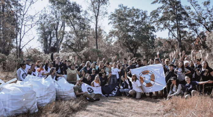Comenzó la primera etapa de limpieza profunda del Arroyo de la Reserva Natural Educativa