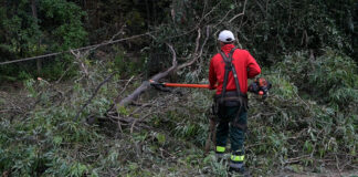 Avanza el operativo de poda en altura en la vía pública del partido de Escobar
