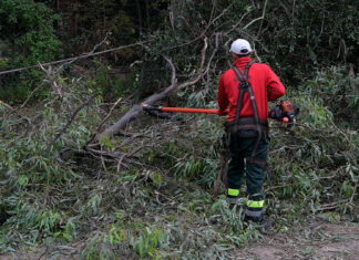 Avanza el operativo de poda en altura en la vía pública del partido de Escobar