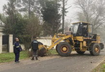 Cronograma del sistema municipal de recolección de ramas para esta semanal