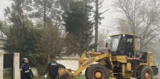 Cronograma del sistema municipal de recolección de ramas para esta semanal