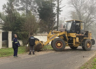 Cronograma del sistema municipal de recolección de ramas para esta semanal