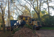 Cronograma del sistema municipal de recolección de ramas para esta semana