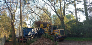 Cronograma del sistema municipal de recolección de ramas para esta semana