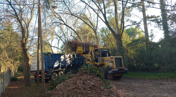 Cronograma del sistema municipal de recolección de ramas para esta semana