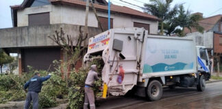 Cronograma del sistema municipal de recolección de ramas para esta semana