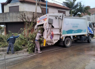Cronograma del sistema municipal de recolección de ramas para esta semana
