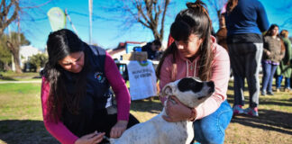 Nuevo cronograma de jornadas gratuitas de castración y vacunación en el Hospital Municipal de Zoonosis