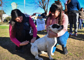 Nuevo cronograma de jornadas gratuitas de castración y vacunación en el Hospital Municipal de Zoonosis