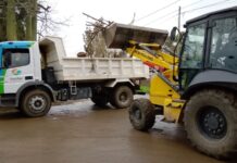 Cronograma del sistema municipal de recolección de ramas para esta semana