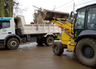 Cronograma del sistema municipal de recolección de ramas para esta semana