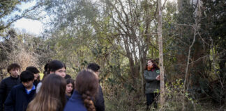 Escobar Sostenible: la Municipalidad abre un espacio para jóvenes comprometidos con el ambiente