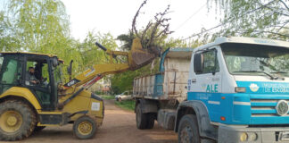 Cronograma del sistema municipal de recolección de ramas para esta semana