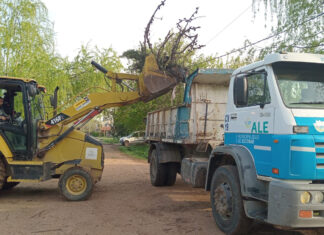 Cronograma del sistema municipal de recolección de ramas para esta semana