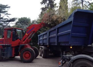 Cronograma del sistema municipal de recolección de ramas para esta semana