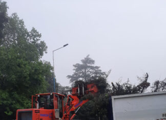 Cronograma del sistema municipal de recolección de ramas para esta semana