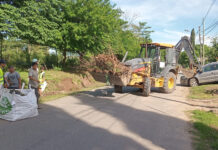 Cronograma del sistema municipal de recolección de ramas para esta semana