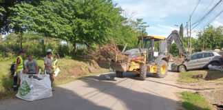Cronograma del sistema municipal de recolección de ramas para esta semana