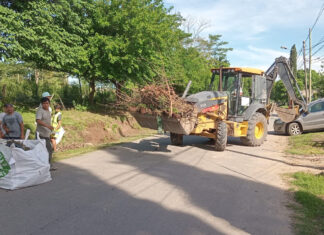 Cronograma del sistema municipal de recolección de ramas para esta semana