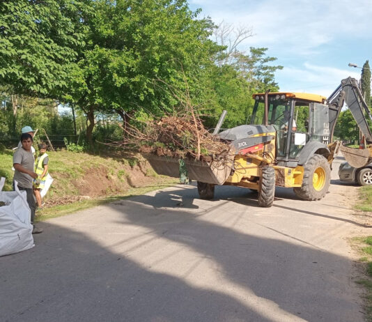 Cronograma del sistema municipal de recolección de ramas para esta semana