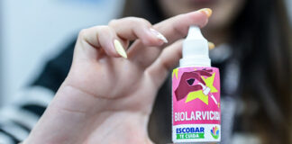 Dengue: ya se puede retirar en todas las UGC el biolarvicida que elimina las larvas del mosquito