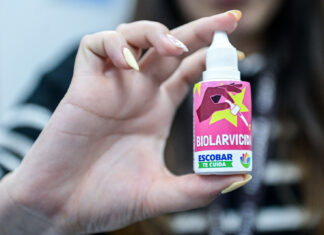 Dengue: ya se puede retirar en todas las UGC el biolarvicida que elimina las larvas del mosquito