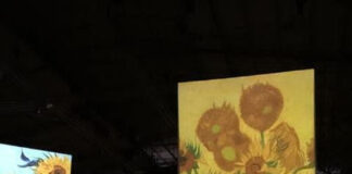Llega al Predio Floral la prestigiosa muestra “Experiencia Inmersiva Van Gogh”