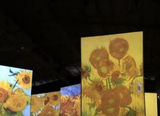 Llega al Predio Floral la prestigiosa muestra “Experiencia Inmersiva Van Gogh”