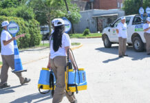 Dengue: la Municipalidad profundiza la campaña de prevención con un innovador biolarvicida natural