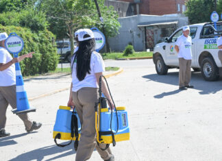 Dengue: la Municipalidad profundiza la campaña de prevención con un innovador biolarvicida natural