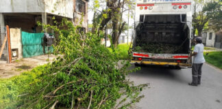 Cronograma del sistema municipal de recolección de ramas para esta semana