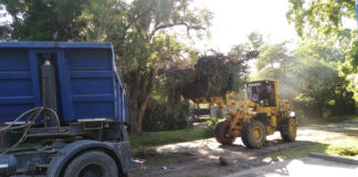 Cronograma del sistema municipal de recolección de ramas para esta semana