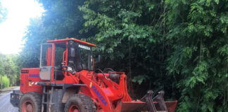 Cronograma del sistema municipal de recolección de ramas para esta semana