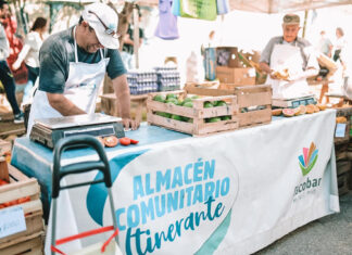 Más beneficios y precios accesibles para comprar en ferias y mercados municipales