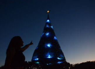 Navidad sostenible: el Municipio armó un imponente arbolito con materiales reciclables en el Parque Papa Francisco