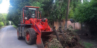 Cronograma del sistema municipal de recolección de ramas para esta semana