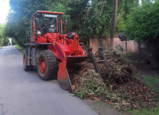 Cronograma del sistema municipal de recolección de ramas para esta semana