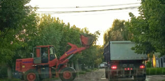 Cronograma del sistema municipal de recolección de ramas para esta semana