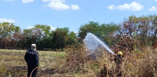 Delitos ambientales: operativos y denuncias de la Municipalidad