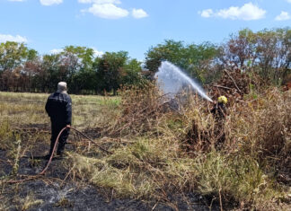 Delitos ambientales: operativos y denuncias de la Municipalidad