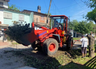 Cronograma del sistema municipal de recolección de ramas para esta semana