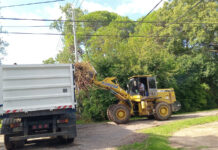 Cronograma del sistema municipal de recolección de ramas para esta semana