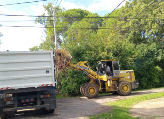 Cronograma del sistema municipal de recolección de ramas para esta semana
