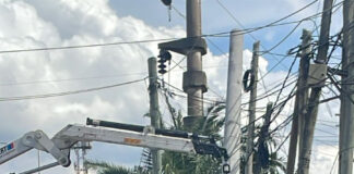 Matheu: falleció un empleado de una empresa subcontratada por Edenor al tocar un cable de media tensión