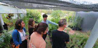 Escobar Sostenible lanza un voluntariado para fomentar la participación ciudadana en el cuidado del ambiente