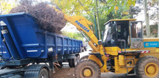 Cronograma del sistema municipal de recolección de ramas para esta semana