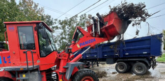 Cronograma del sistema municipal de recolección de ramas para esta semana