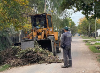 Cronograma del sistema municipal de recolección de ramas para esta semana