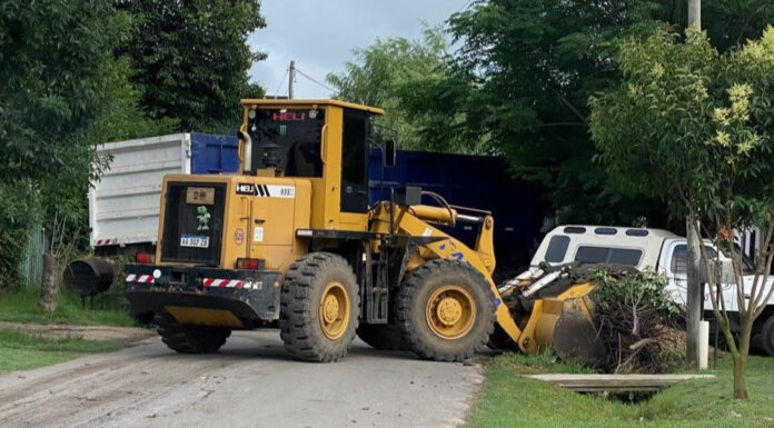 Cronograma del sistema municipal de recolección de ramas para esta semana