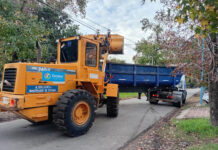 Cronograma del sistema municipal de recolección de ramas para esta semana